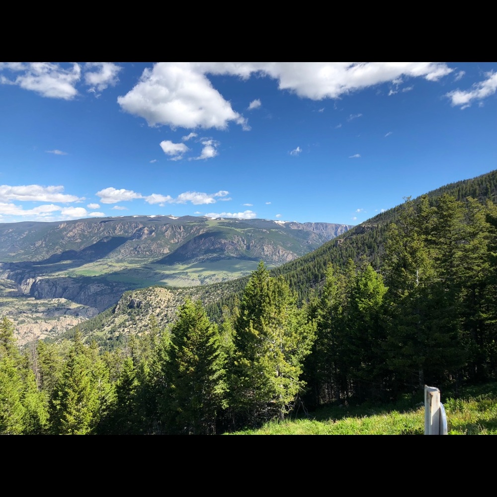 Meet your Posher, Colby